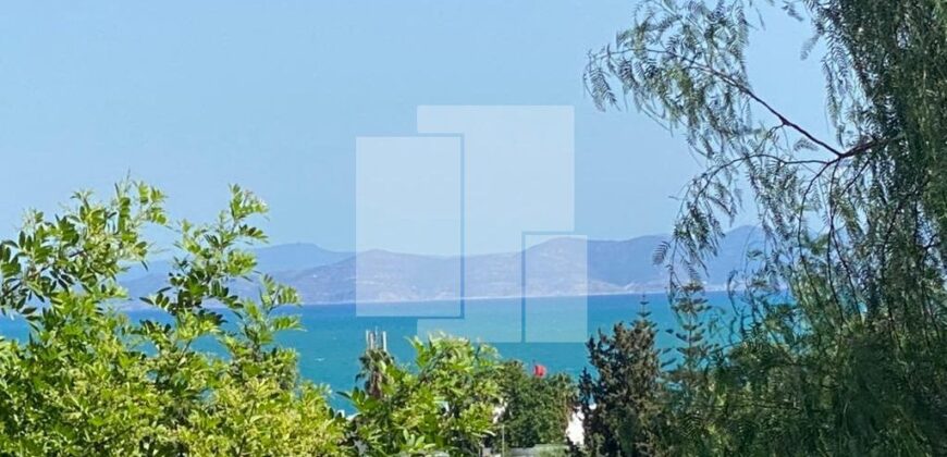 Villa avec vue sur la mer, Carthage