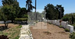 Villa da maître avec une vue dégagée, Carthage
