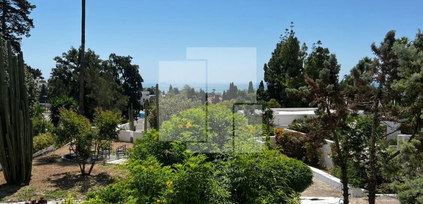 Villa da maître avec une vue dégagée, Carthage