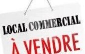 Local commercial sur une artère principal, Montplaisir