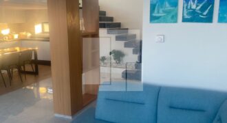Duplex S+2 meublé avec rooftop,Marsa