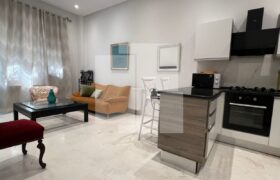Appartement S+1 meublé,Marsa ville