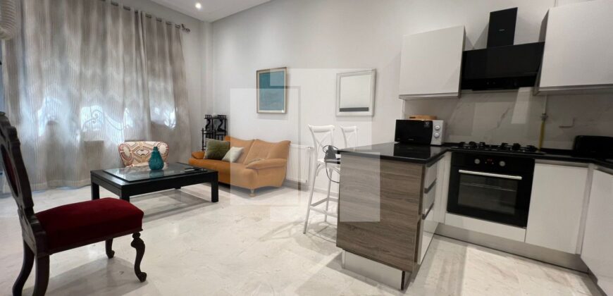 Appartement S+1 meublé,Marsa ville
