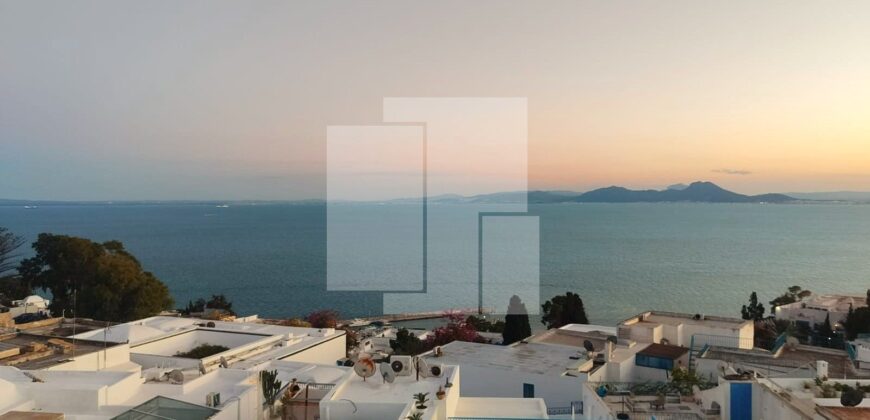 Villa arabesque avec vue mer, Sidi Bou Saïd