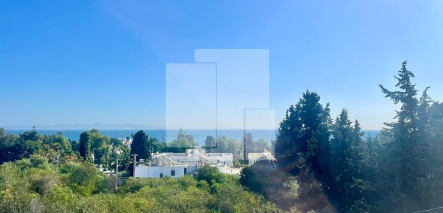 Appartement S+1 avec vue sur mer, Carthage Hannibal