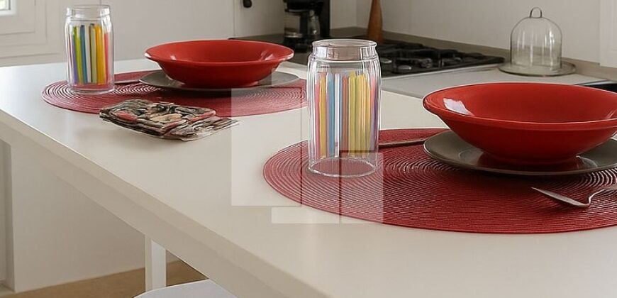 Appartement S+1 meublé, Marsa ville