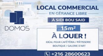 Local commercial, Sidi Bou Saïd