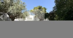 Villa de maître avec jardin, Carthage