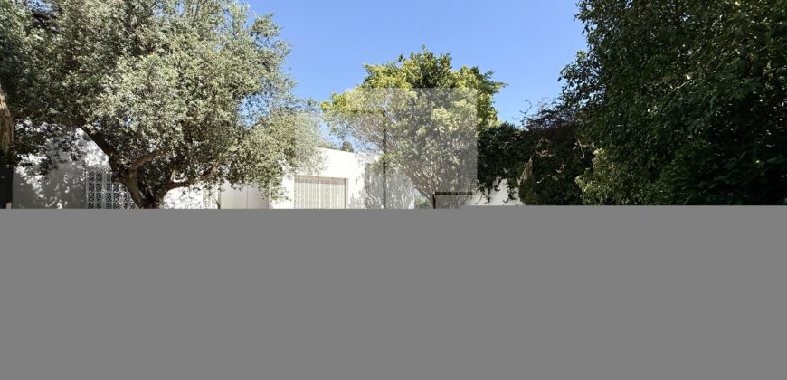 Villa de maître avec jardin, Carthage