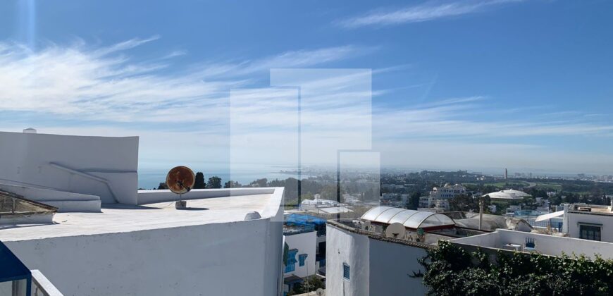 Magnifique triplex indépendant au cœur du village de Sidi Bou Saïd