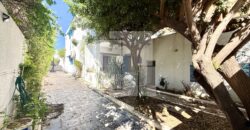Charmante villa S+3 avec jardin, Carthage