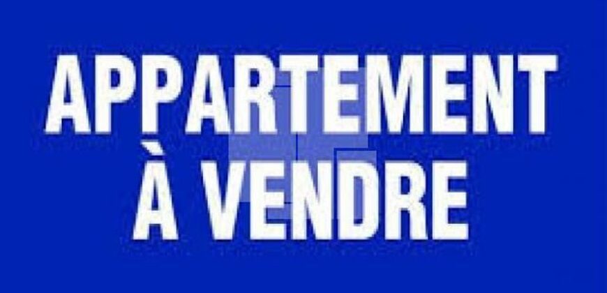 Appartement S+3 avec Rooftop,Marsa ville