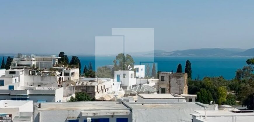 Appartement S+1 avec vue sur mer,Sidi Bou Saïd.