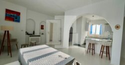 Appartement S+2 meublé, Sidi Bou Said