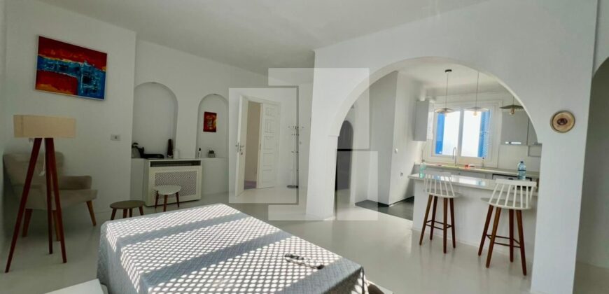 Appartement S+2 meublé, Sidi Bou Said